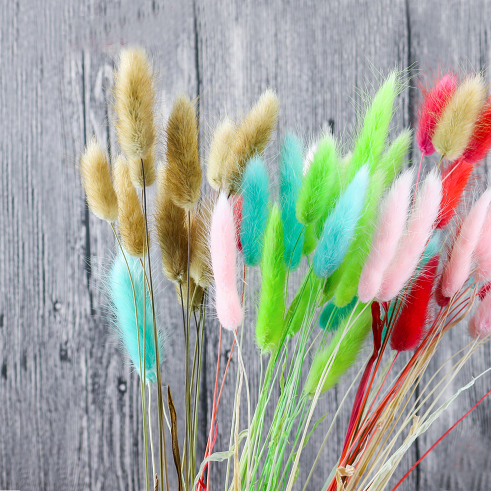 50pcs dried natural flower bou - Dried Flower Bunch recension och pris
