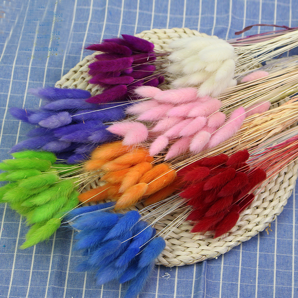 50pcs dried natural flower bou - Dried Flower Bunch recension och pris