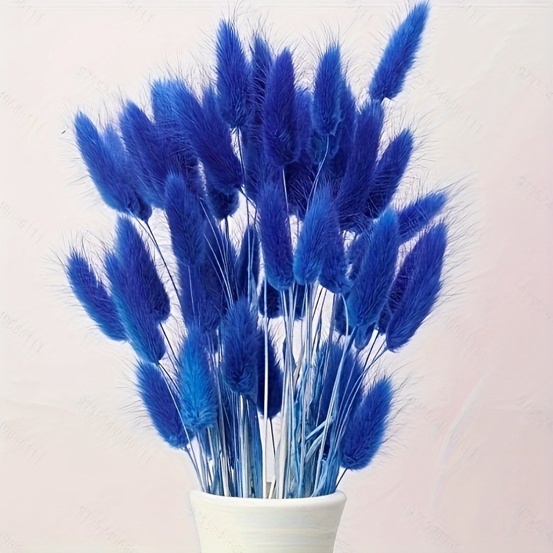Imitation Rabbit Tails Grass D - Dried Flower Bunch recension och pris