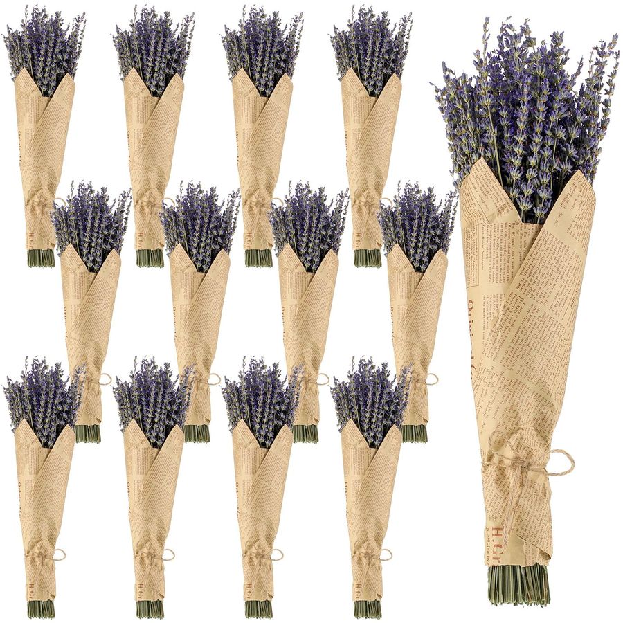 12 Pack Total 2280 Stems Dried - Dried Flower Bunch recension och pris