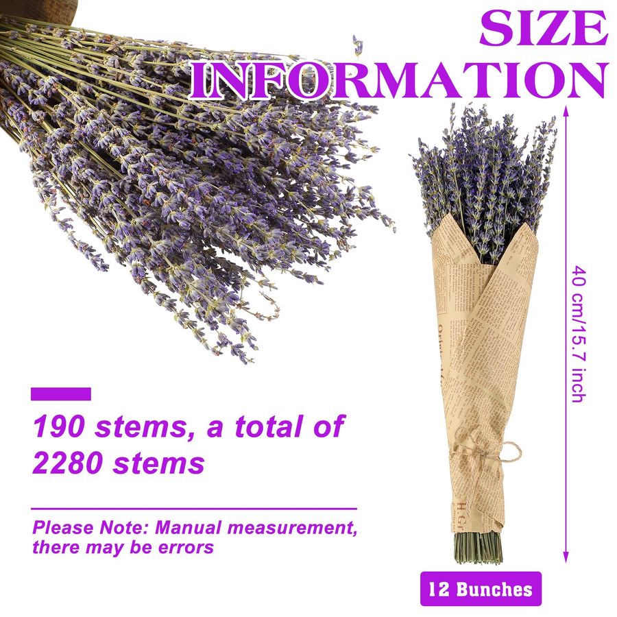12 Pack Total 2280 Stems Dried - Dried Flower Bunch recension och pris