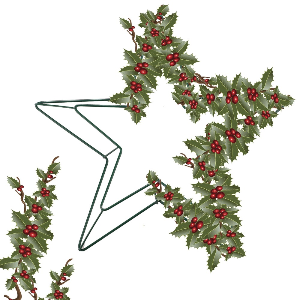 Floral Crafts Metal Wire Star  - Wreath Form Wire recension och pris