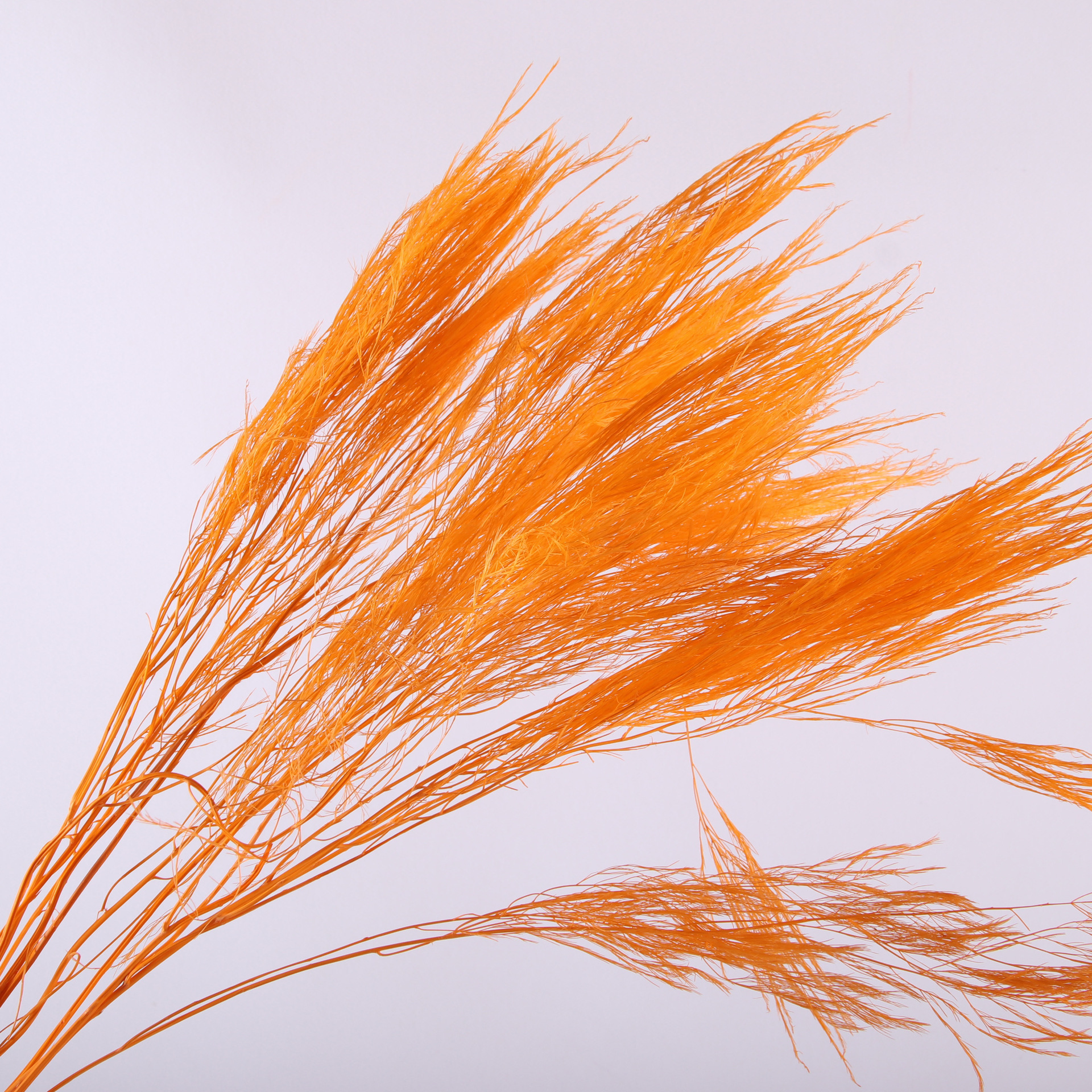 10pcs/bunch Dried Flower Bouqu - Dried Flower Bunch recension och pris