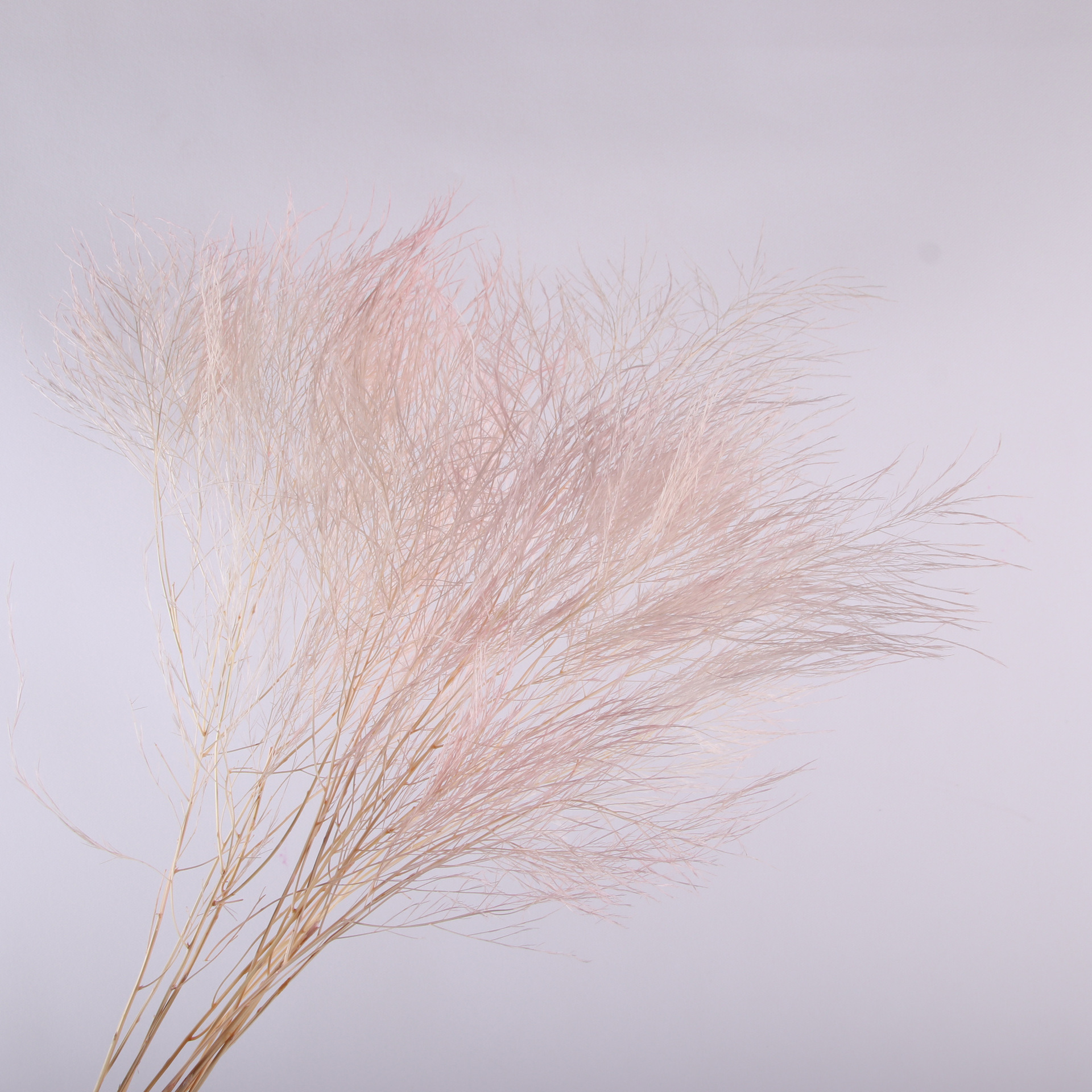 10pcs/bunch Dried Flower Bouqu - Dried Flower Bunch recension och pris
