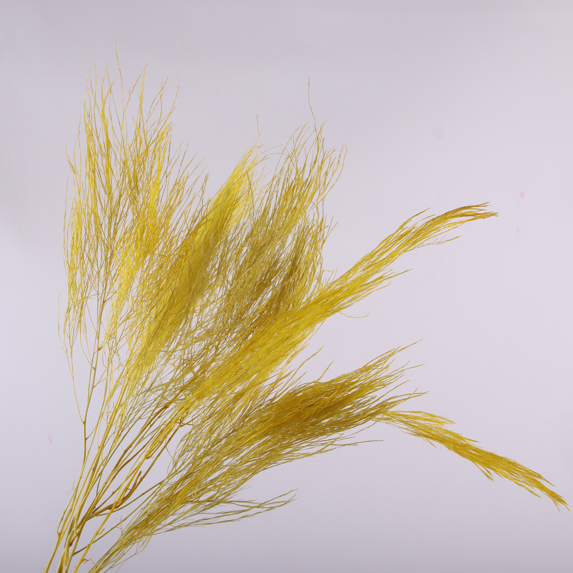 10pcs/bunch Dried Flower Bouqu - Dried Flower Bunch recension och pris