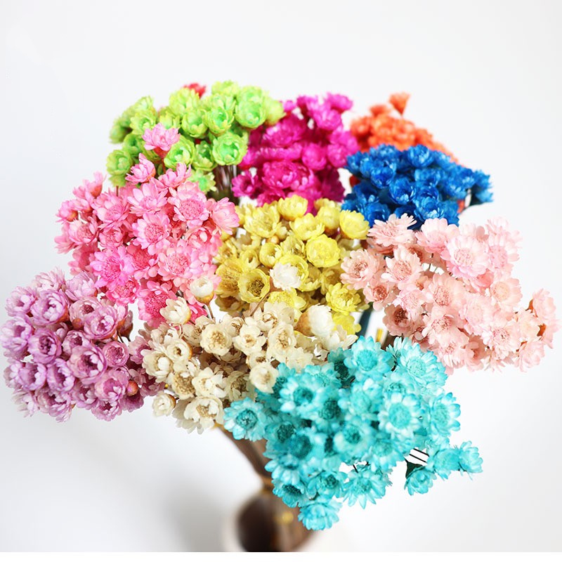 50Pcs/bunch Natural Dried Flow - Dried Flower Bunch recension och pris