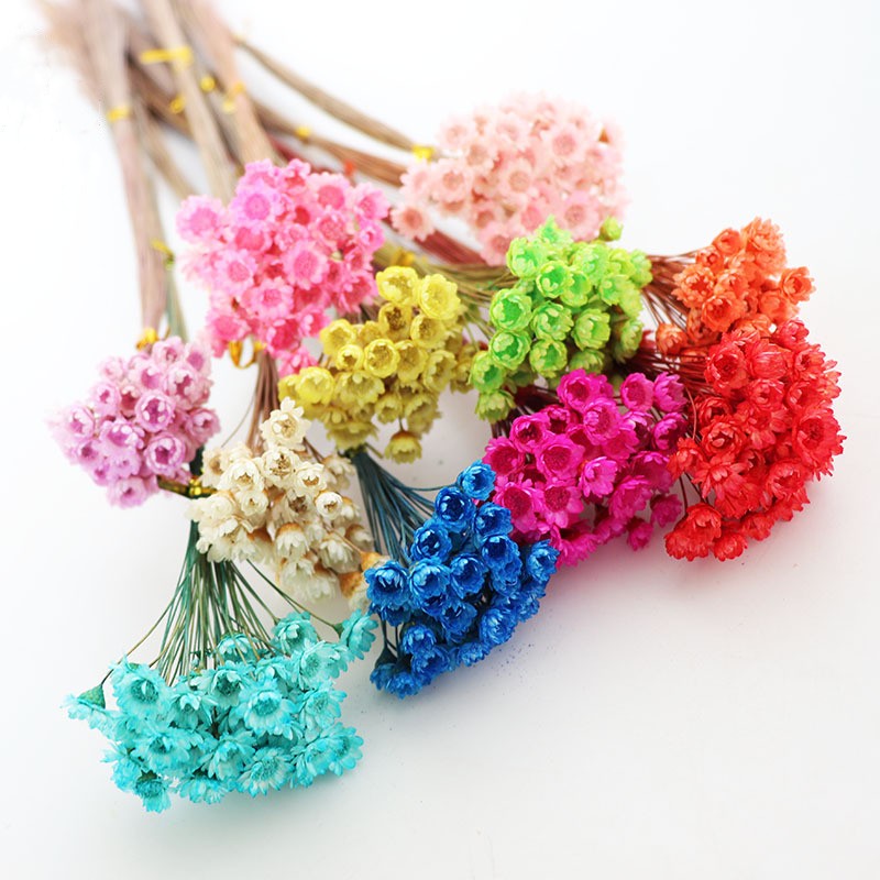 50Pcs/bunch Natural Dried Flow - Dried Flower Bunch recension och pris