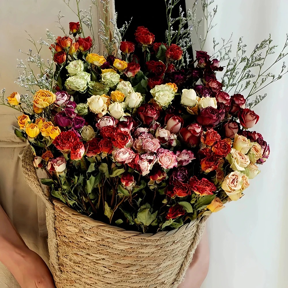 a lot Small Rose, Decorative N - Dried Flower Bunch recension och pris