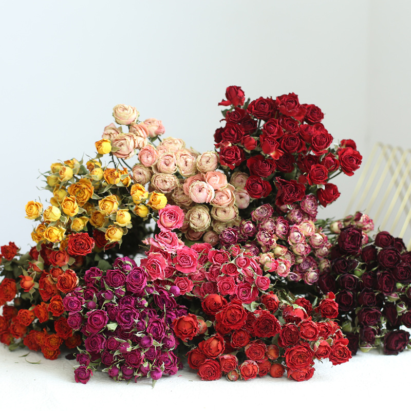 a lot Small Rose, Decorative N - Dried Flower Bunch recension och pris
