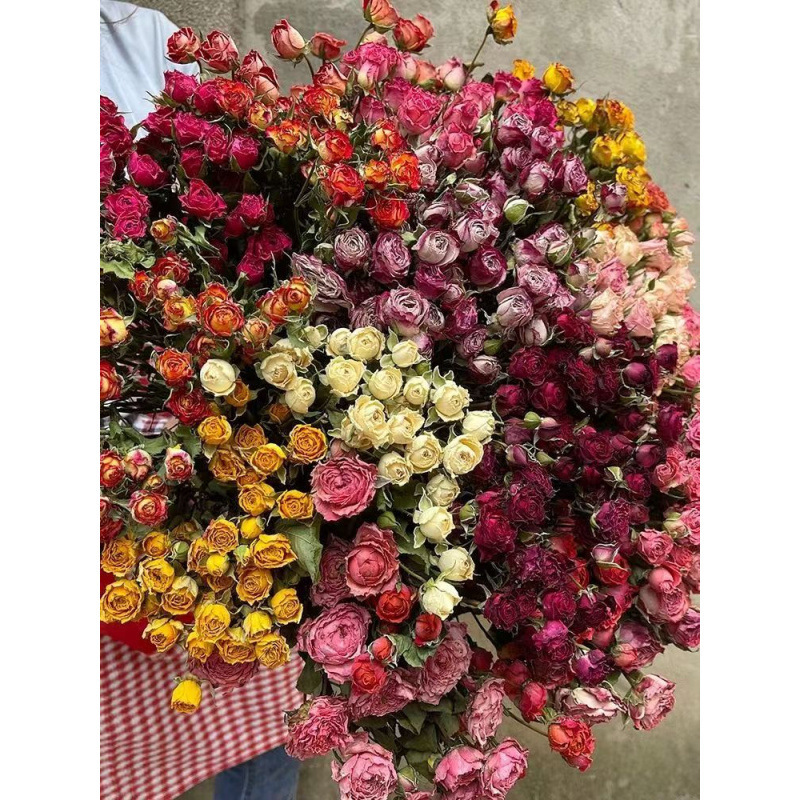 a lot Small Rose, Decorative N - Dried Flower Bunch recension och pris
